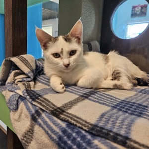 Fundraising Page: Ezra Pollard